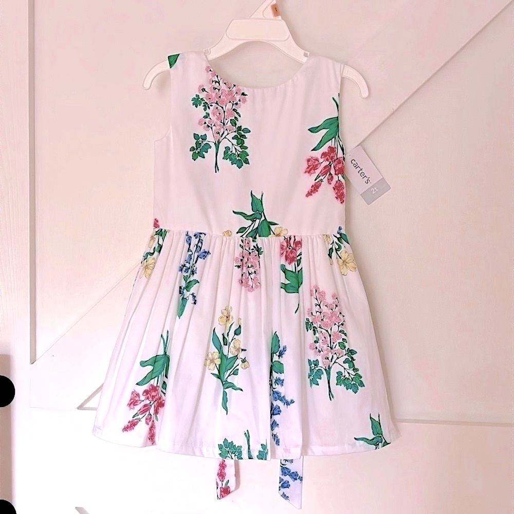 NWT Carter's Botanical Floral Fully Lined Tulle Slip A-Line Tie Pleated Dress